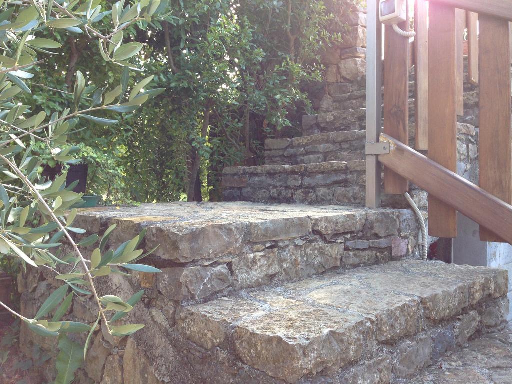 Agriturismo "La Rosa Canina" Bed & Breakfast Lerici Exterior photo